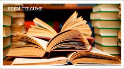 Edebi Tercüme